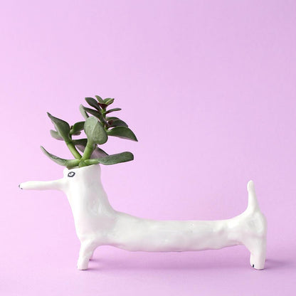 花瓶（ぱっちり?白）